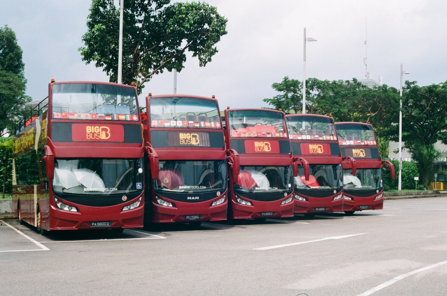 Buses